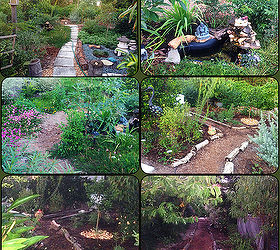 in just 6 months, gardening, landscape, outdoor living, ponds water features