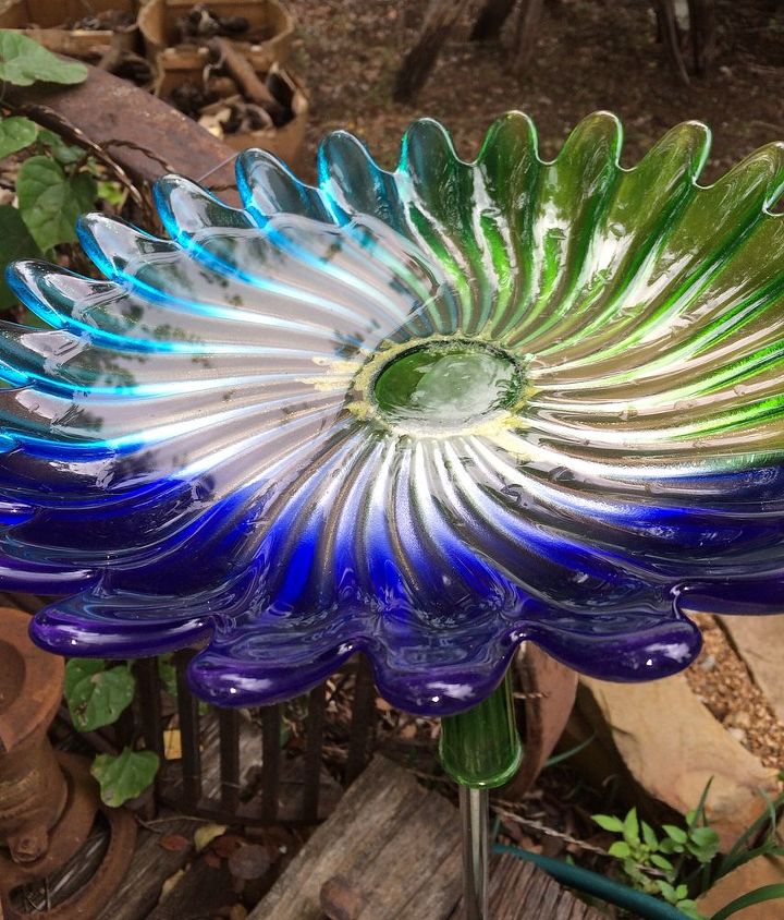 one cool day and i forget i am in texas, gardening, New DIY birdbath Love the colors