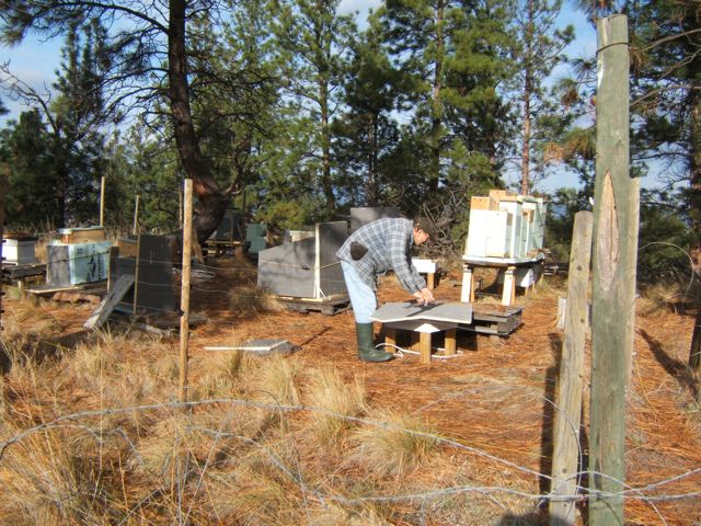 winterizing our bees, go green, homesteading, Chris is working on cutting insulation board to wrap all the hives