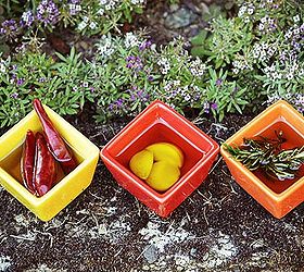 how to make infused oils cook like a pro, homesteading, Chili peppers garlic and rosemary are three of my favorite herbs for cooking Herbs are the simplest to use and require only fresh herbs clean and dry see here for more instructions
