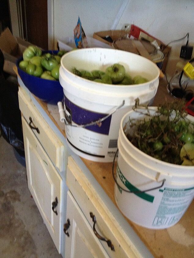 q what do i do with these, homesteading, Tomatos One bucket of cherry tomato