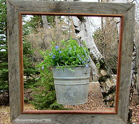framed lobelia bucket, gardening, I drilled a small hole in the top of the frame and strung a wire through to hold the pail to the frame and the frame to a hook in the tree