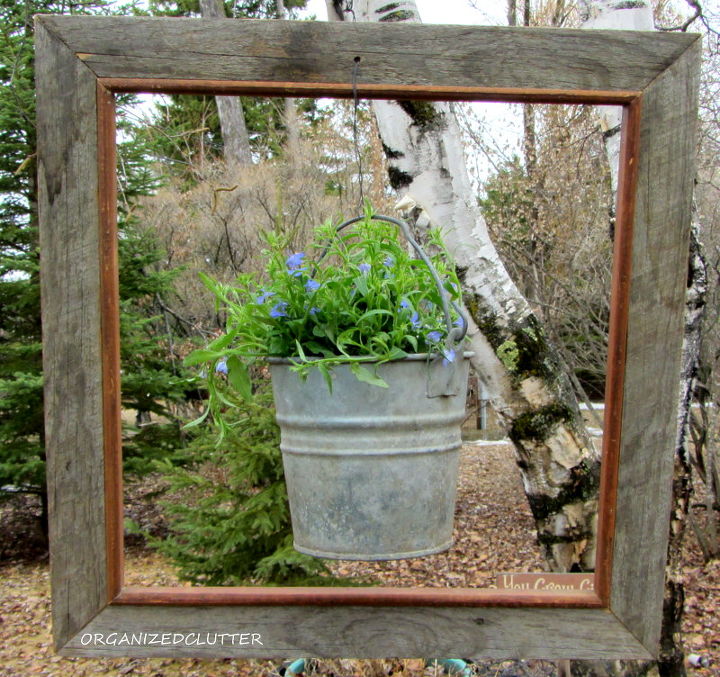framed lobelia bucket, gardening, I drilled a small hole in the top of the frame and strung a wire through to hold the pail to the frame and the frame to a hook in the tree