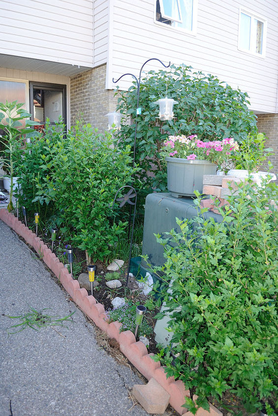 need help to fix my front garden it s a mess do i have too many bushes, flowers, gardening, Coming up my driveway not TOO bad but needs serious work