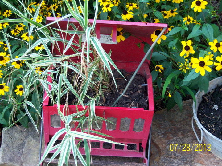 more of my unusual planters, flowers, gardening, repurposing upcycling, Bird feeder