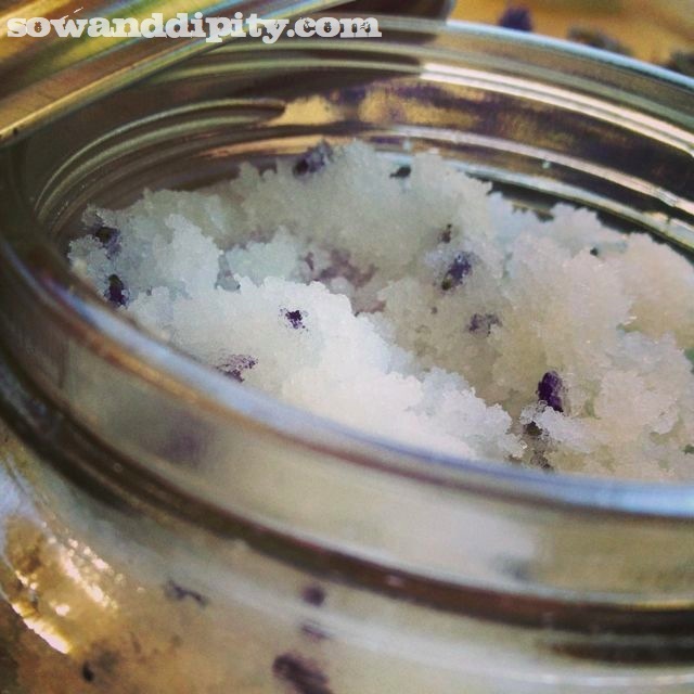 lavender sugar scrub, crafts, Great natural scrub for gardeners hands and for keeping feet soft during the summer