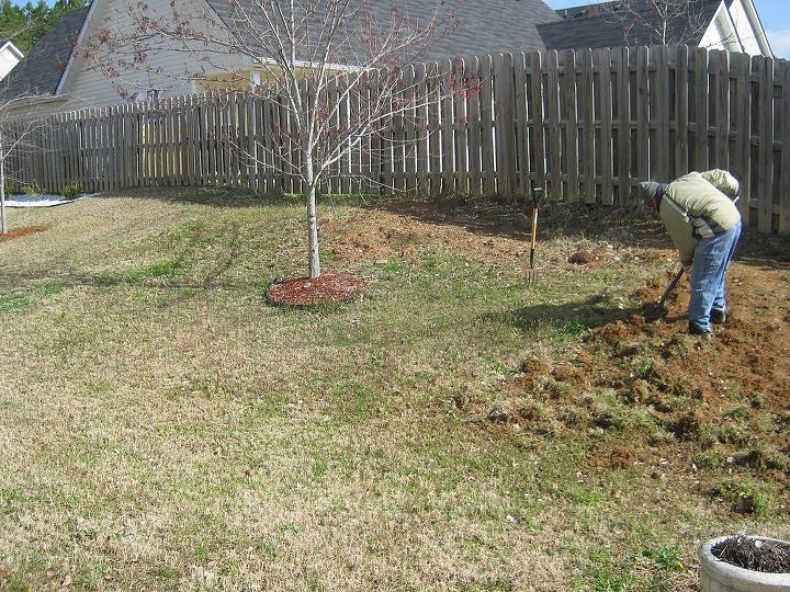diy backyard project, diy, fences, outdoor living, woodworking projects, Before 3 2011