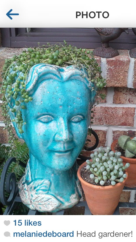 Head Planter For Garden Hometalk Would Love To A Head Planter But Where