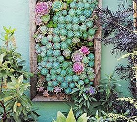 5 gorgeous ways to use succulents, flowers, gardening, succulents, terrarium, Succulents are ideal in vertical gardens because they require only a little amount of soil source Country Living