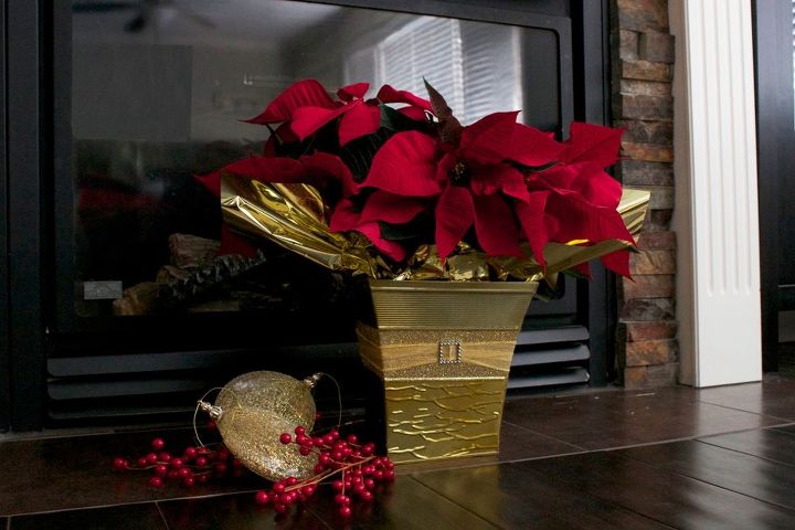 the perfect hostess gift at christmas, christmas decorations, container gardening, gardening, seasonal holiday decor