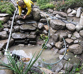 backyard waterfall water garden pond restoration remodel repair with led lighting, landscape, outdoor living, ponds water features, Backyard Landscape Water Feature Garden is now Rocked in LED Lighting Installed Aquatic Plants are removed from their containers and planted in the Pond Steps are made from Natural Rock for easy access in and out of the pond