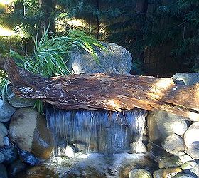 Using Logs to make your Water Feature Pop!