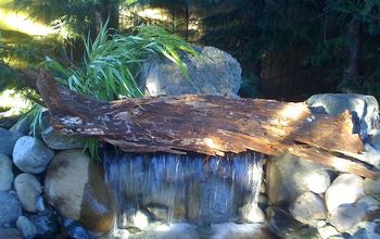Using Logs to make your Water Feature Pop!