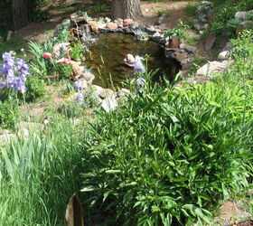 transforming a wilderness into a garden, decks, gardening, landscape, outdoor living, ponds water features, This is view from our deck and sun room to the pond now Moving all that rock was not easy and even harder was to establish a good eco system for plants and fish