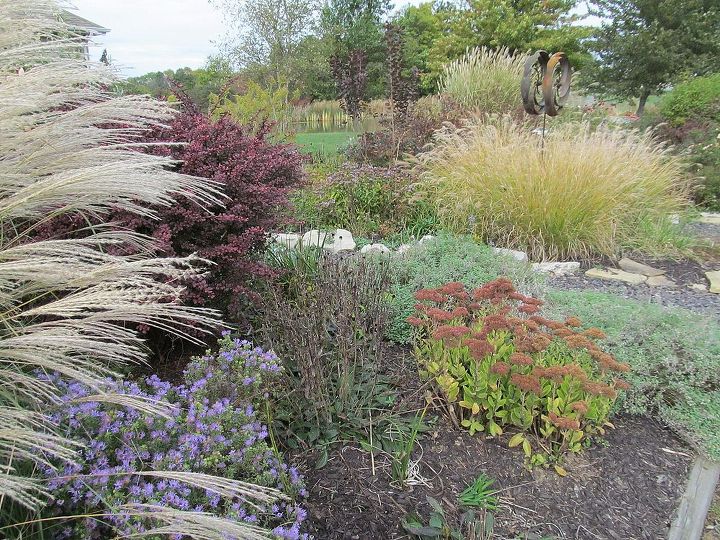 do you share views of your garden to encourage others to try it, flowers, gardening, perennials