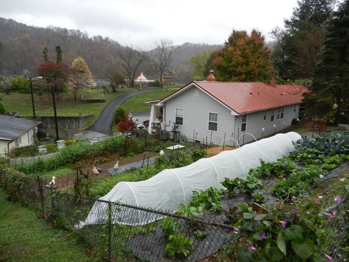 one year one ton of fresh food fall, gardening, homesteading, Fall gardening in the mountains of eastern Kentucky plant hardiness zone 6b