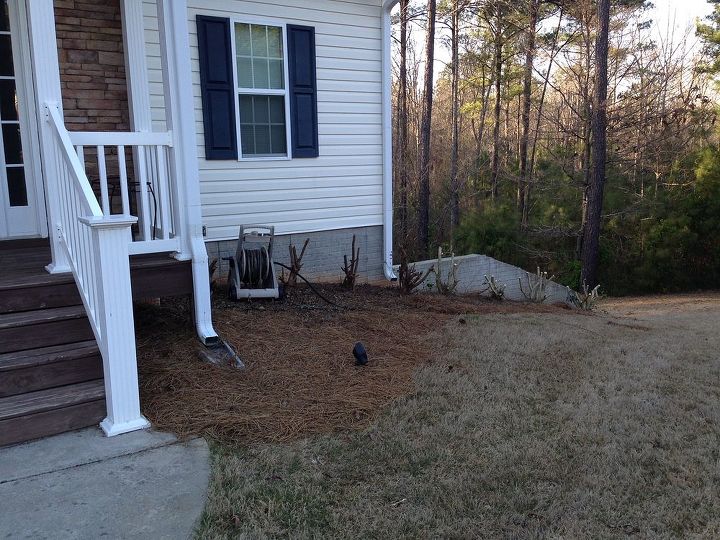 what to do with front yard pine beds simple and affordable, flowers, gardening, landscape, Side of house Would like to expand on the pine bed and make it bigger