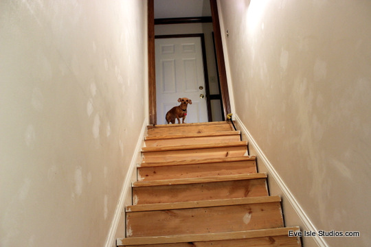 stair redo phase 1 complete, diy, home improvement, stairs, woodworking projects, Reggie looking over her domain