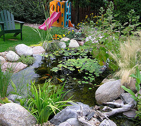 water gardening ponds water features waterfalls koi ponds outdoor lifestyles, gardening, outdoor living, ponds water features, Another view of the pond from the stream