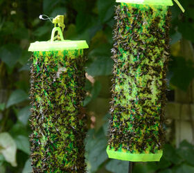 new rescue trapstiks use visual cues to attract insects, pest control