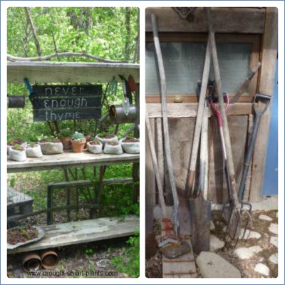 what s in our garden tool kits, gardening, Drought Smart Plants vintage tools and a potting bench