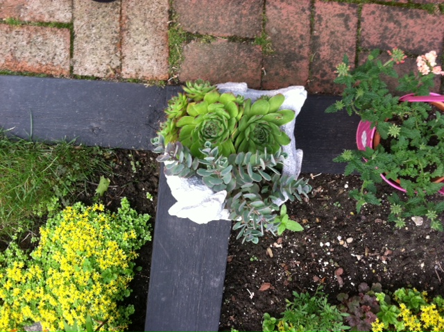 cmo puedo hacer frente a un conejo en mi jardn de flores