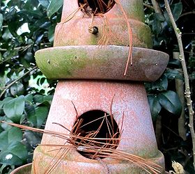it s all about the birds birdhouses baths and feeders in our garden, gardening, outdoor living, pets animals, repurposing upcycling, Double Decker Birdhouse the finches love this one See the post