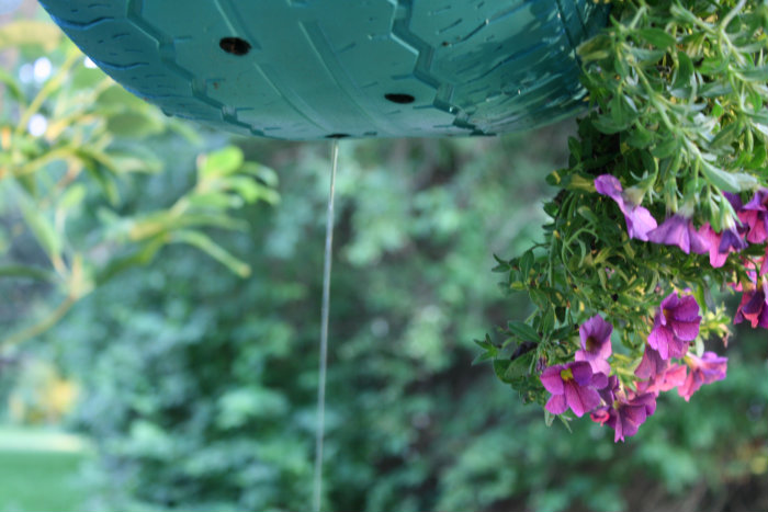 repurposed tires as flower planters, flowers, gardening, outdoor living, repurposing upcycling