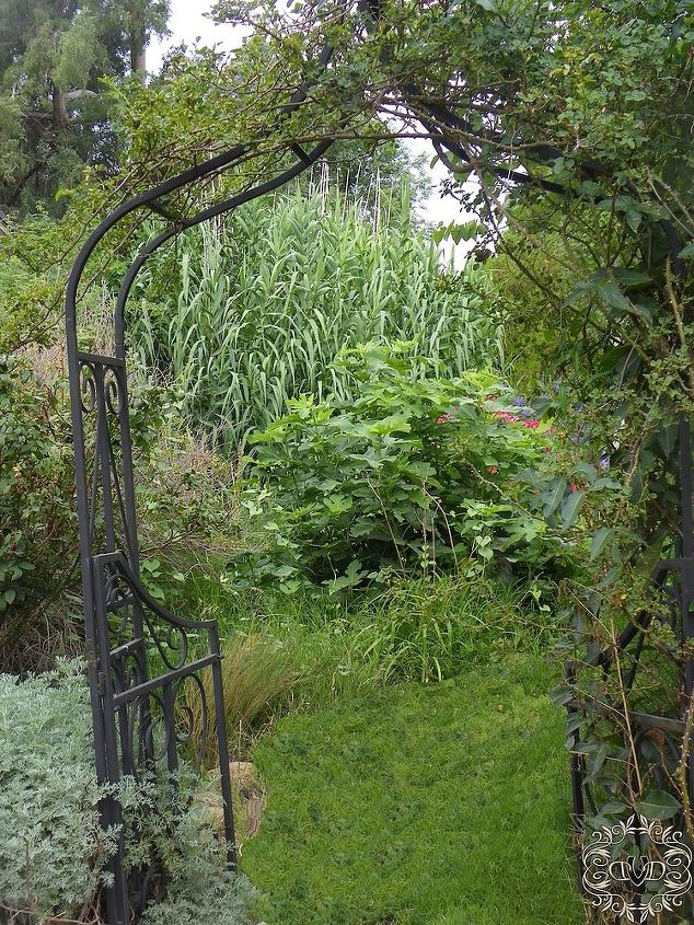 creating a cozy garden room hide away, gardening, landscape, An arch way is always a way to invite visitors to wander into a space