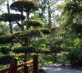 a visit to morikami gardens, gardening, outdoor living