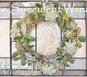 diy live succulent wreath, crafts, succulents, wreaths, Love my wreath It s been hanging right here for months and it s doing great