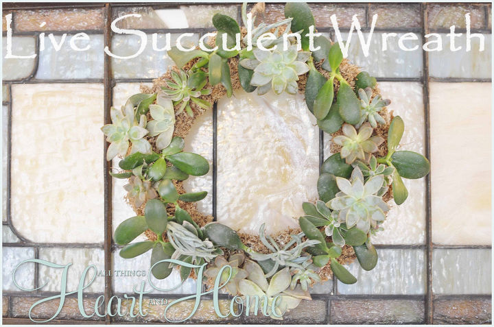 diy live succulent wreath, crafts, succulents, wreaths, Love my wreath It s been hanging right here for months and it s doing great
