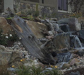build a pond less in a day, landscape, Colorado has lots of wood to make a water feature look natural