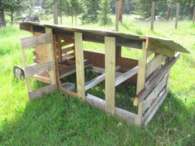 building a chicken tractor coop with recycled materials, homesteading, pallet projects, pets animals, repurposing upcycling, Front of the Chicken Tractor The steep roof is because of Montana s snow
