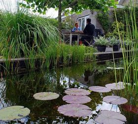 hans pardoel gardens, gardening, So much life in your garden with a pond like this one Lots of fish and waterinsects