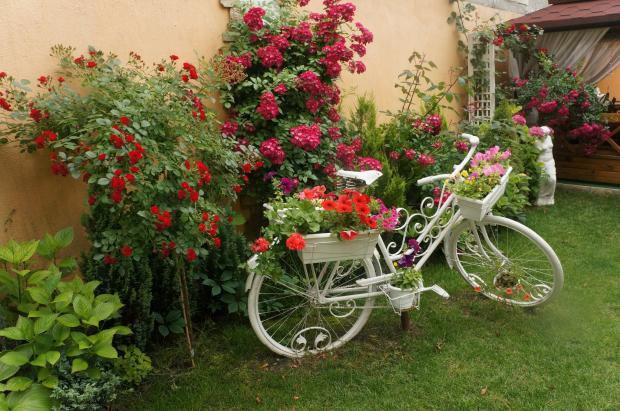 what to do with that old bicycle, gardening, repurposing upcycling