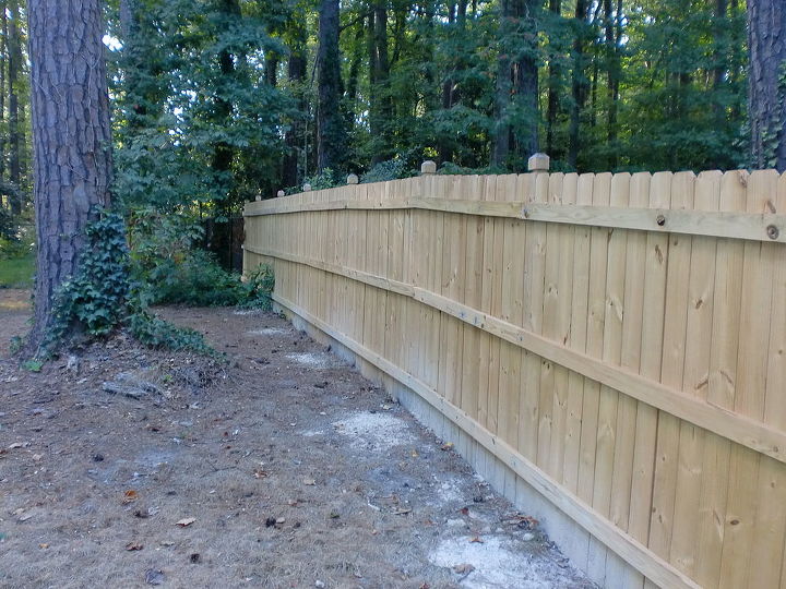 fenced in a 5 acre yard, Left inside side of fence Picture is taken to show length of fence running to back of property