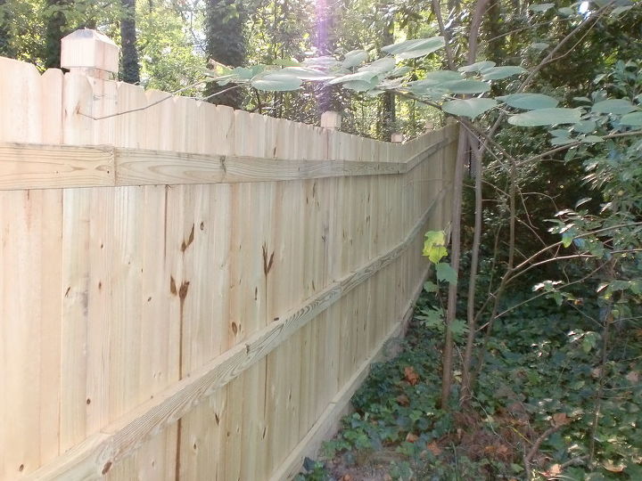 fenced in a 5 acre yard, Picture of right inside side of fence taken to show fence running from front to back