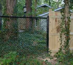 fenced in a 5 acre yard, Point where privacy fence meets chain link