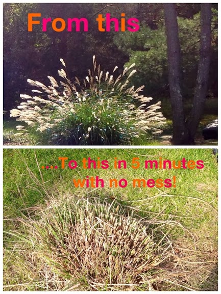 great tip to chop those grasses with no mess and in 5 min flat, gardening