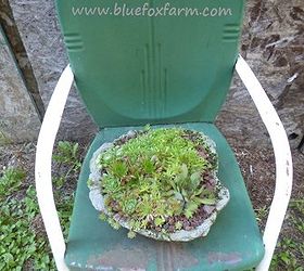 great garden chair planter ideas, gardening, outdoor furniture, outdoor living, painted furniture, repurposing upcycling, rustic furniture, seasonal holiday decor, If your style is rustic Jacki at Blue Fox Farm has ideas here