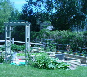the raised garden i designed and my hubby built, diy, gardening, raised garden beds, woodworking projects, Finished