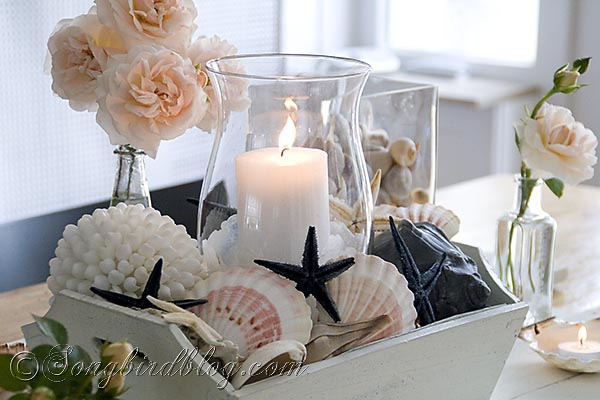 i am a member of crate collectors anonymous, home decor, repurposing upcycling, White painted crate filled with shells and sea star for a nautical decor