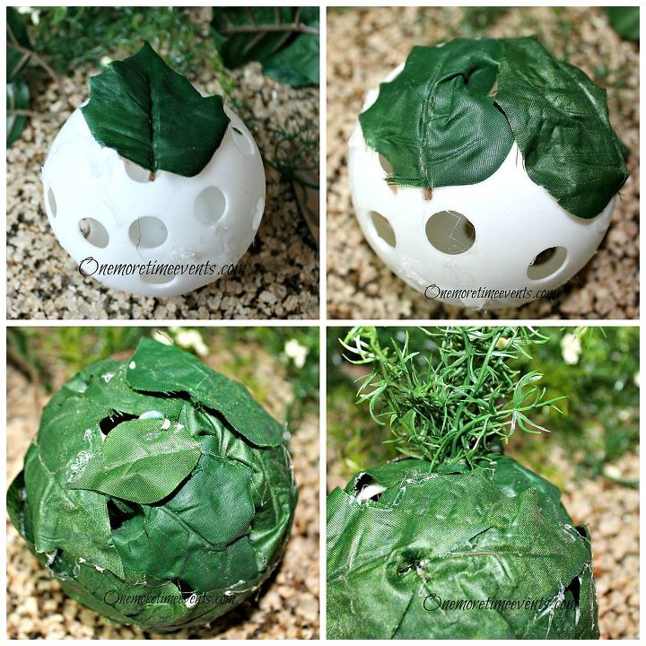 how to create indoor boxwood and juniper topiaries, crafts, gardening, home decor, Using a Waffle ball instead of styrofoam