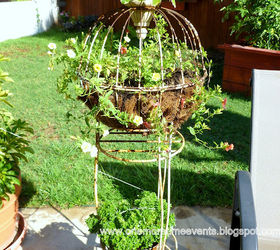 gardening wire planters and hanging baskets transformation, After