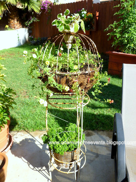 gardening wire planters and hanging baskets transformation, After