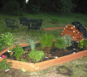new garden and pond, flowers, gardening, hibiscus, outdoor living, ponds water features, plants starting to plant