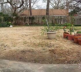 houston tx pool filled in now what, gardening, landscape, Panorama view but not sure if it will display as such