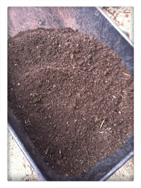 free compost, composting, gardening, go green, This is the finished product