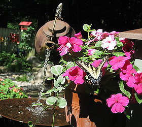 tea pot butterfly, flowers, gardening, Butterfly stops for a refreshing drink